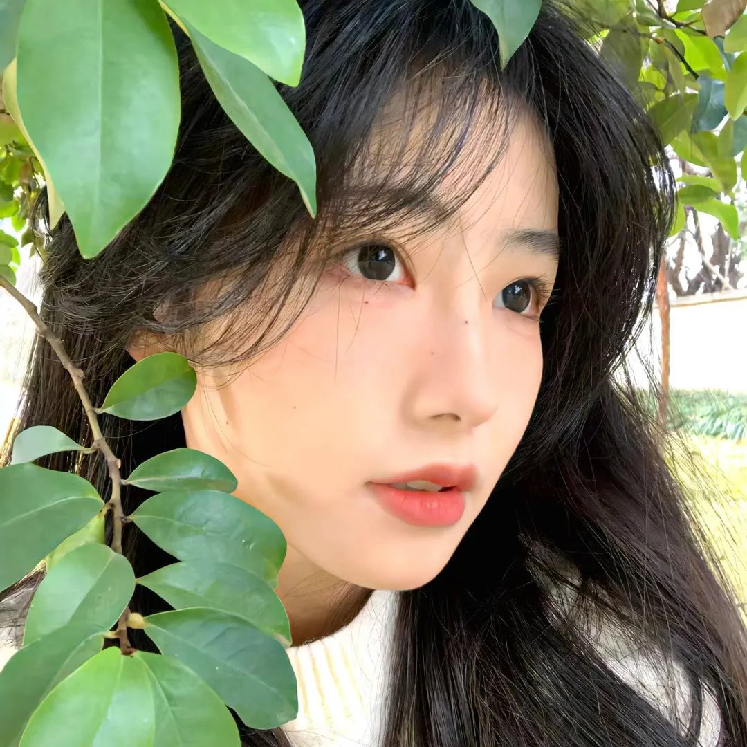 明亮的夜